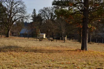 DSC_5851 (Large).JPG